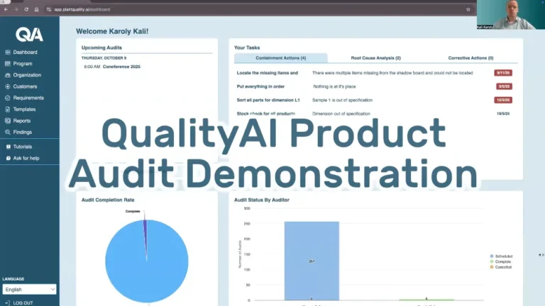Product Audit Demo